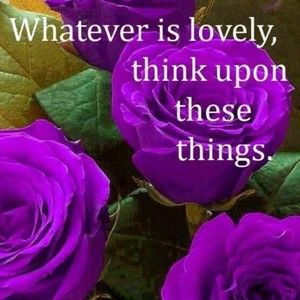 Meet your Posher, Dm900363